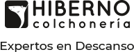 logo hiberno